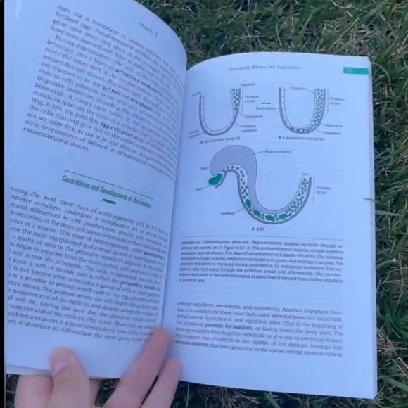 ⭐️ Science 🧪biology 🧬 gene targeting book textbook ⭐️ - Picture 2 of 3